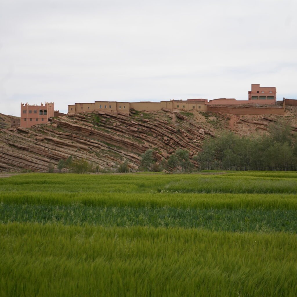 M’Goun to the Valley of Roses – Grand Exploration – 13 Days