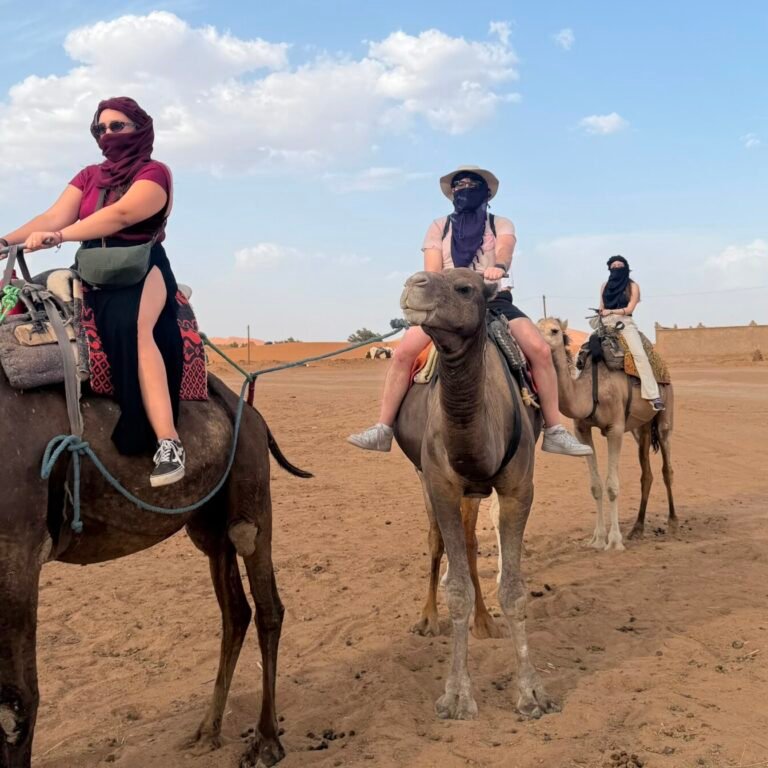 Camel Trekking