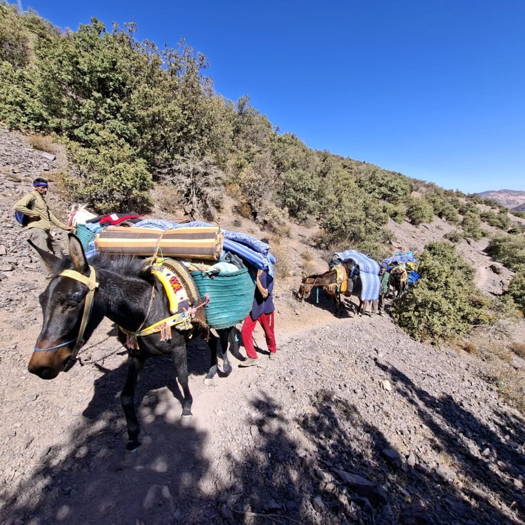 Conquer Toubkal – Mount Toubkal Summit Adventure