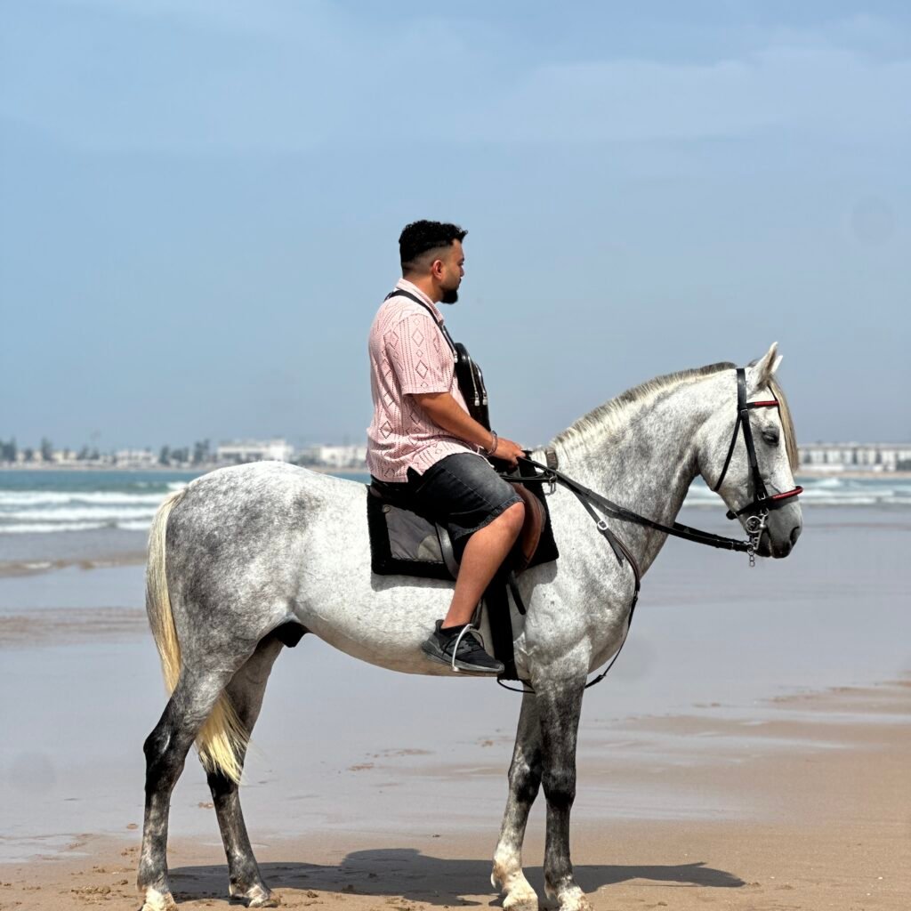 Side view of a male traveler riding a white horse along the wet sand