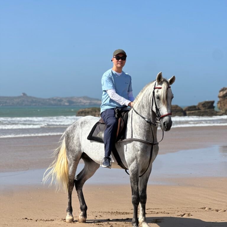 Male traveler wearing sunglasses and a cap riding a white horse along the shore