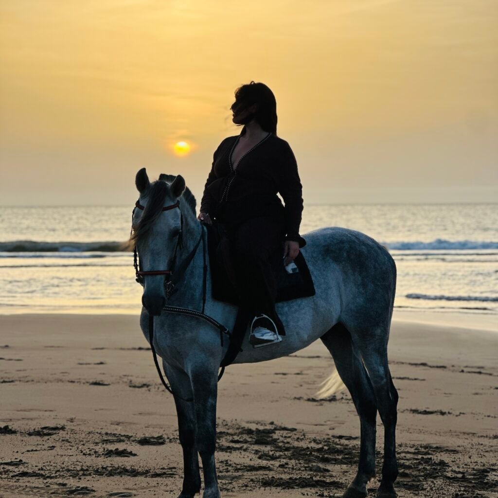 Silhouette of a woman on a white horse during sunset on