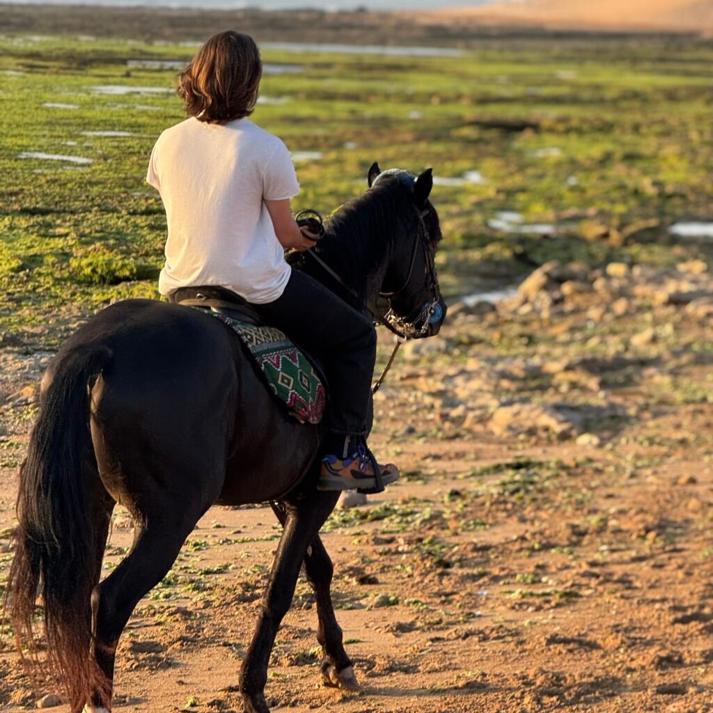 Rear view of a male traveler riding a black horse along a sandy coastal path near tide pools in Morocco