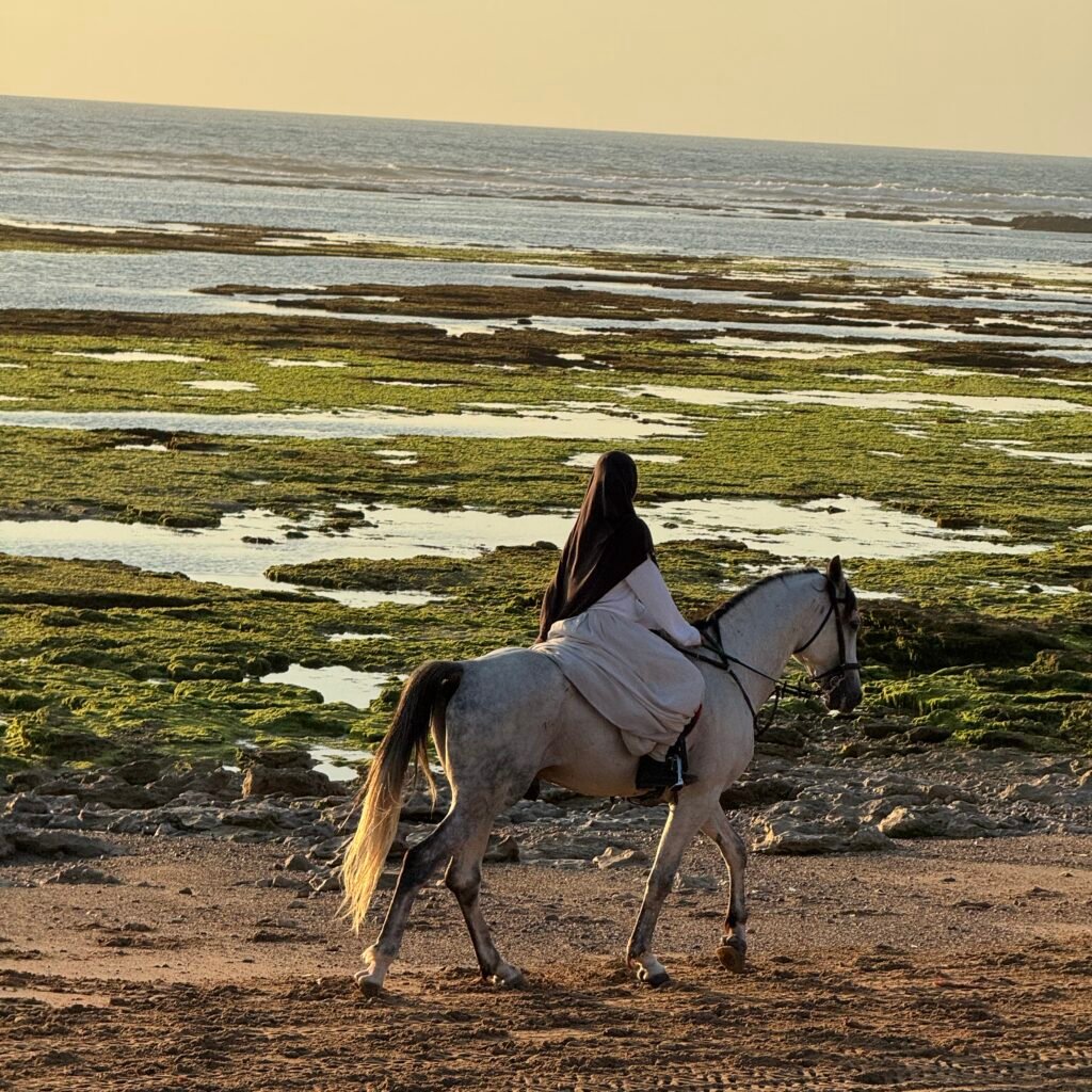 Traveler on a white horse riding along the rocky ocean shoreline during a coastal tour in Morocco