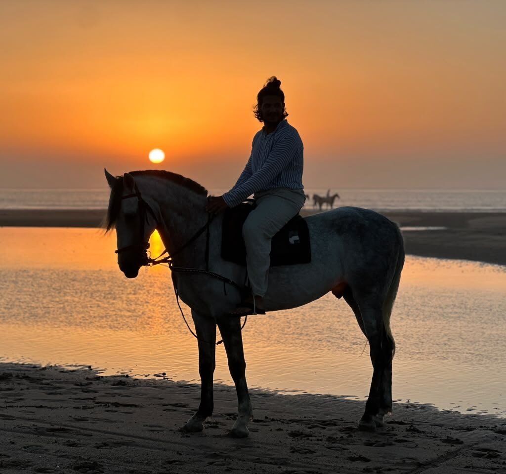 Man on a white horse posed against a glowing sunset over the ocean