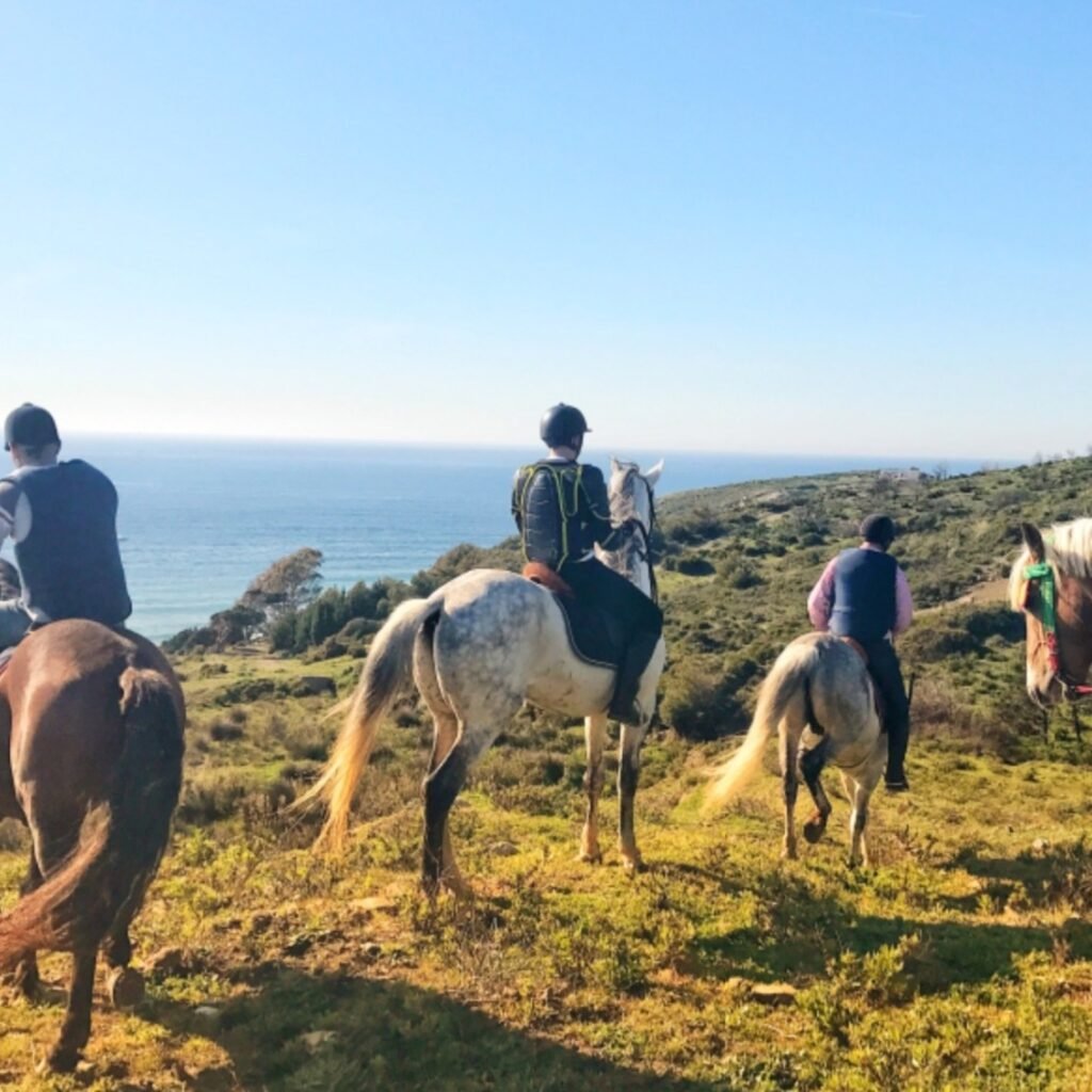 Group of horseback riders on a coastal hill trail overlooking the ocean blue horizon