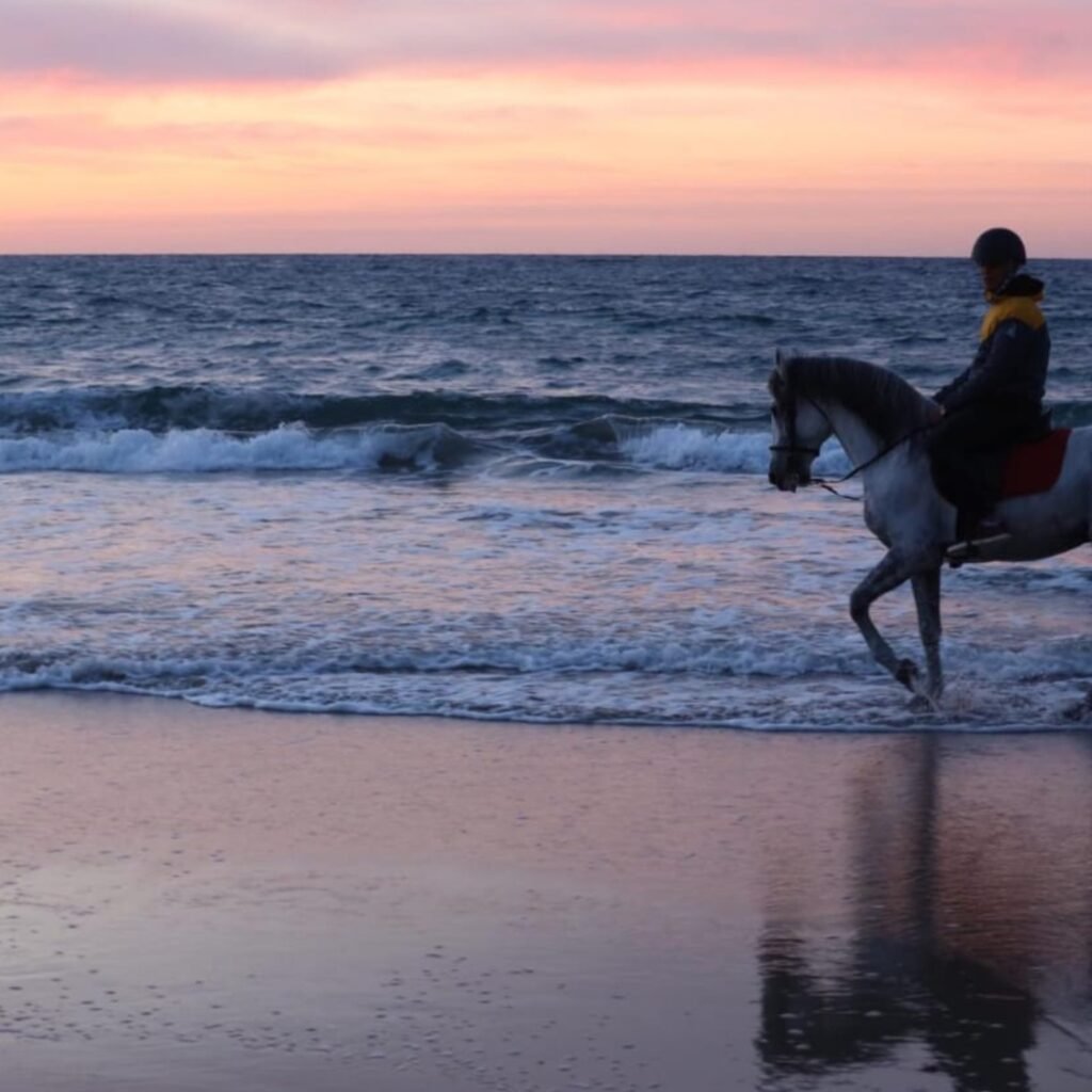 Horseback rider trotting on a grey horse through shallow ocean waves at sunset