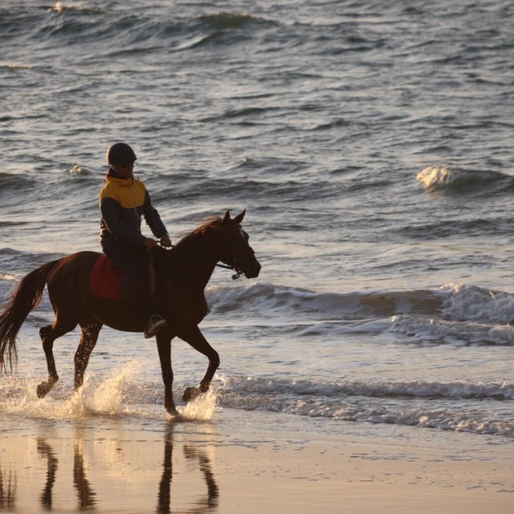 Horseback rider riding a brown horse through splashing ocean waves along the beach